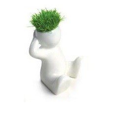 小さな芝生人形 (8個入り)