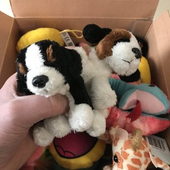 50個セット ぬいぐるみ入りギフトボックス（つかみ取り箱）