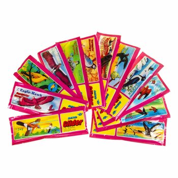 鳥のフォーム飛行機 ディスプレイボックス入り (48個入)