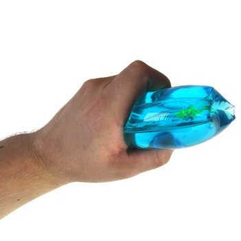 展示用ウォーターウィグラー (24個入り)