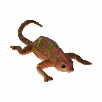 色が変わるカメレオン ディスプレイ (48個入り)