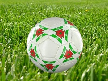 サッカーボール - モデル 1 (6個入)