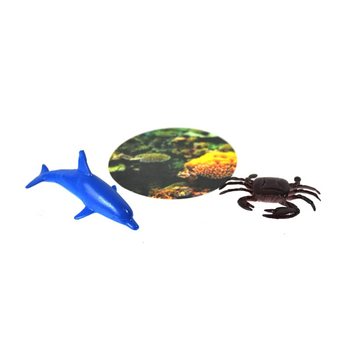 海の生き物2点セット (12セット)