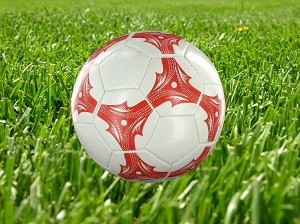 サッカーボール - モデル2 (6個入)