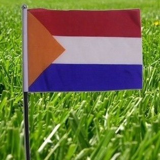 オランダ国旗 (22本セット)