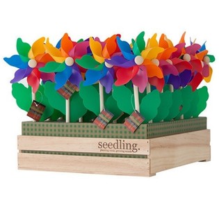 SEEDLING - 木製ディスプレイ入りかざぐるま (20個入)
