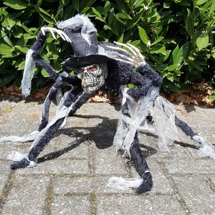 骸骨と光る目のMEGAデコレーションスパイダー（2個セット）