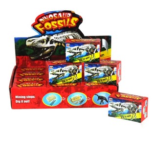 ディスプレイ入り ミニ考古学者セット (12個入)